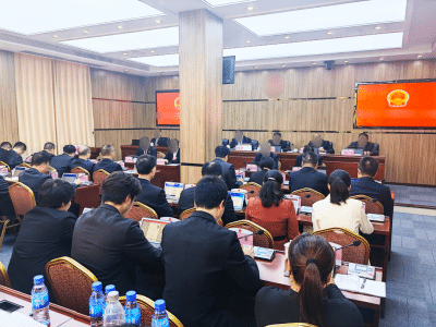 区人大会议,基层人大,代表活动,民主议事